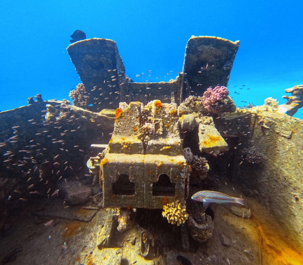 You can now swim among tanks at Jordan's underwater military museum